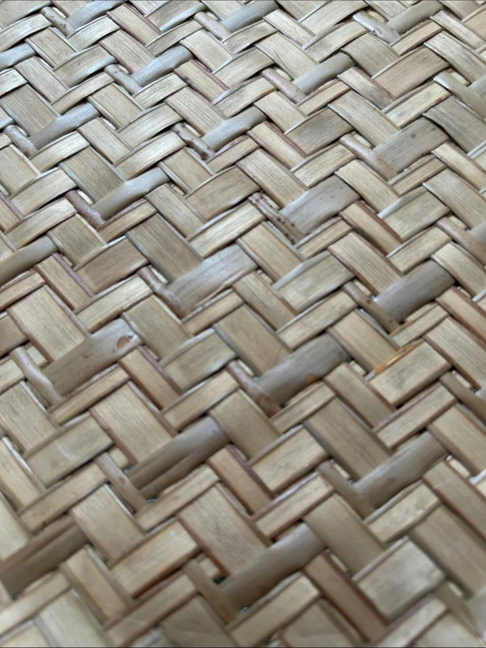 Woven Rattan Round Cotton Charger plates from Pier 1